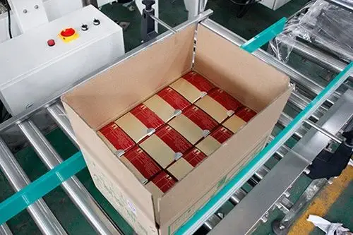 High Speed Bagging Case Packer