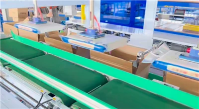 Fully Automatice Bagging Machine And Case Packer
